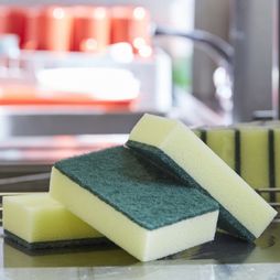 Large Catering Sponge Scourer