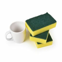 Large Catering Sponge Scourer