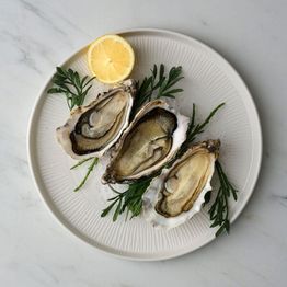 Churchill Bamboo White Walled Plate 260mm alternative