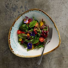 Churchill Homespun Accents Aquamarine Triangle Bowl 235mm alternative