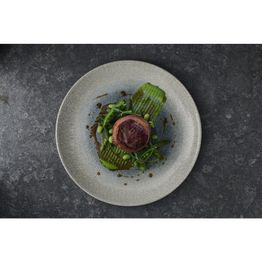 Churchill Raku Duo Agate Evolve Coupe Plate Topaz 219mm alternative