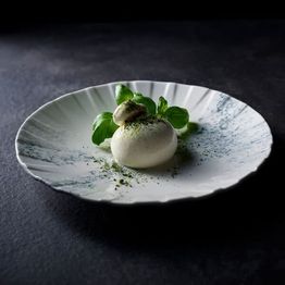 Churchill Smoke Grey Coupe Plates 273mm alternative