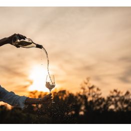 Stolzle Cocoon Champagne Flute 340ml / 12oz alternative