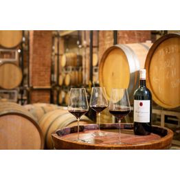 Stolzle Starlight Red Wine Glass 510ml / 18oz alternative