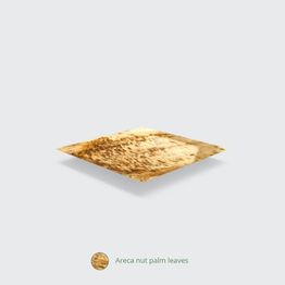 Vegware 8in Square Palm Plate - PL08SQ alternative