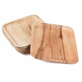10" Square Palm Plate PL10SQ Vegware