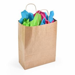 Accessory Twist Handle Brown Kraft Paper Carrier Bags 18cm x 24cm x 8cm