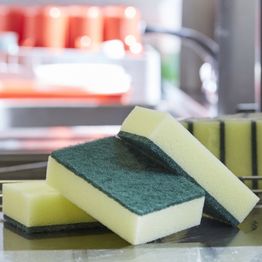 Large Catering Sponge Scourer