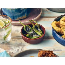 Genware Porcelain Terracotta Round Dish 10cm/ 4" alternative