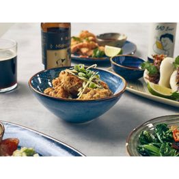 Terra Porcelain Aqua Blue Organic Bowl 16.5cm alternative