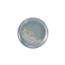 Terra Porcelain Seafoam Coupe Plate 24cm