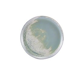 Terra Porcelain Seafoam Coupe Plate 27.5cm