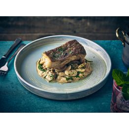 Terra Porcelain Seafoam Presentation Plate 26cm alternative