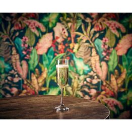 Tokyo Champagne Flute 21cl/ 7.4oz alternative