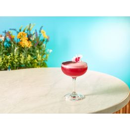 Harmony Polycarbonate Champagne Saucer 21cl/ 7.4oz alternative