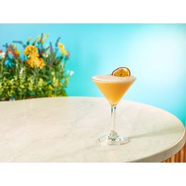 Twilight Polycarbonate Martini Glass 21.5cl/ 7.6oz alternative