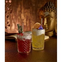 Astor Vintage Tumbler 34cl/ 12oz alternative