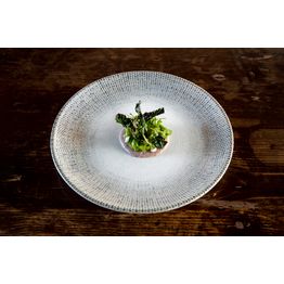 Sway Gourmet Flat Plate 19cm alternative