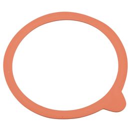 WECK Rubber Seals 10cm (Dia) (Set of 10pcs)