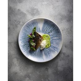 Churchill Lyra Blue Evolve Coupe Plates 217mm alternative