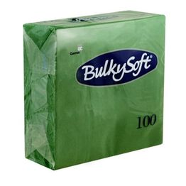 Bulkysoft Rainbow 40cm 2-Ply Green Dinner Napkins