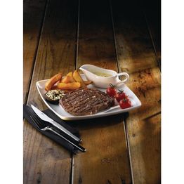 Churchill X Squared Square Deep Plates 268mm alternative