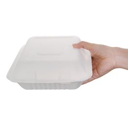 Fiesta Compostable Bagasse Hinged 3-Compartment Food Containers 201mm alternative