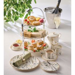 Porland Academy Botanical Saucer 16cm alternative