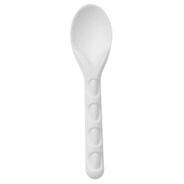 Dispo Bagasse Spoons 153mm
