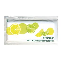 eGreen Large Freshening Hand Wipes