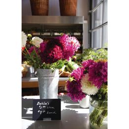 Display Holders for Securit Mini Chalkboard Tags (CL310) alternative