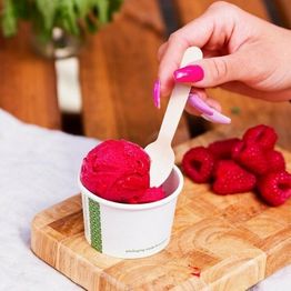 4oz Gelato / Icecream Pot Vegware SC-04