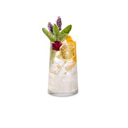 Borgonovo Elixir Highball Glasses 350ml alternative