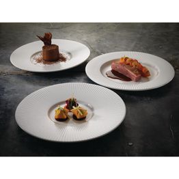 Steelite Willow Gourmet Medium Well Plate 285mm alternative