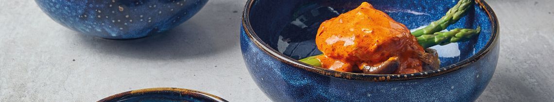 Aqua Blue Terra Porcelain Collection