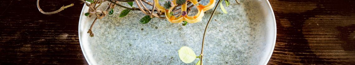 Bonna Lunar Ocean Collection