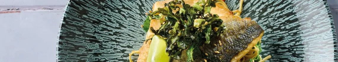 Academy Fusion Stellar