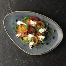 Churchill Stonecast Triangular Plates Blueberry 304mm additional 2