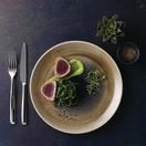 Churchill Stonecast Aqueous Coupe Plates Bayou Taupe 260mm additional 11