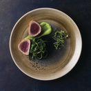 Churchill Stonecast Aqueous Coupe Plates Bayou Taupe 260mm additional 12