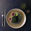 Churchill Stonecast Aqueous Coupe Plates Bayou Taupe 288mm additional 7