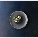 Churchill Stonecast Aqueous Fjord Evolve Coupe Plate 10.25" additional 2