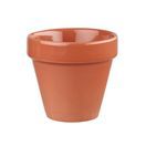 Churchill Bit On The Side Plant Pot Paprika 17oz additional 1