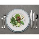 Churchill Isla Presentation Plate Ocean Blue 305mm additional 4