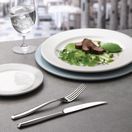 Churchill Isla Presentation Plate Ocean Blue 305mm additional 6