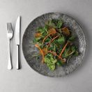 Churchill Stone Quartz Black Evolve Coupe Plates 288mm additional 3