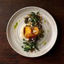 Churchill Elements Dune Evolve Coupe Plates 260mm additional 4