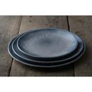 Dudson Harvest Flux Grey Organic Coupe Plate 164mm additional 4