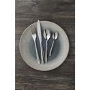 Churchill Trace Table Fork additional 2