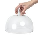 Glass Cloche 210mm additional 6